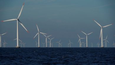 طاقة-الرياح-البحرية-في-اليابان-تترقب-توسعات-جديدة