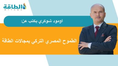 القمة-المصرية-التركية.-خطوة-لتطوير-العلاقات-بالمجالات-النووية-والمتجددة-والغاز-المسال-(مقال)